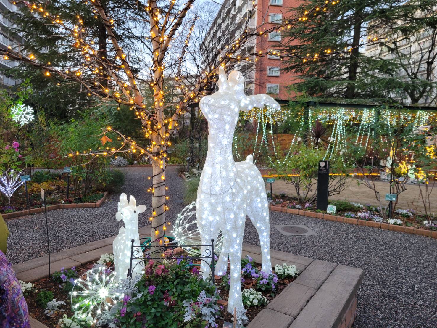 四季の香ローズガーデン2